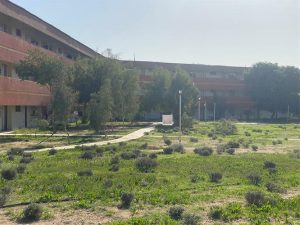 مهمانسرا خلیج فارس