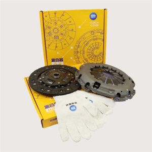 دیسک و صفحه هانژی